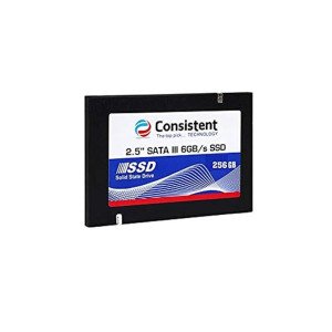 Consistent 2.5" 256GB SSD with SATA