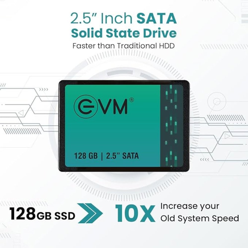 EVM 128GB 2.5-Inch SATA Internal SSD