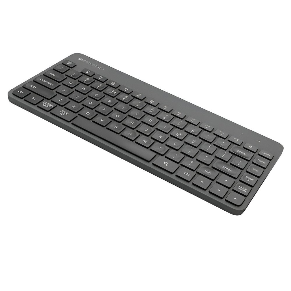ZEBRONICS Companion 201 2.4GHz Wireless Keyboard & Mouse Combo
