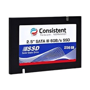 Consistent 2.5" 256GB SSD with SATA